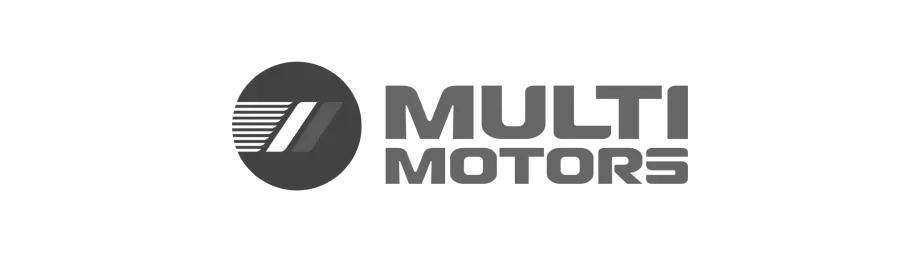 multimotors